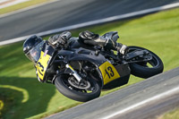 anglesey;brands-hatch;cadwell-park;croft;donington-park;enduro-digital-images;event-digital-images;eventdigitalimages;mallory;no-limits;oulton-park;peter-wileman-photography;racing-digital-images;silverstone;snetterton;trackday-digital-images;trackday-photos;vmcc-banbury-run;welsh-2-day-enduro